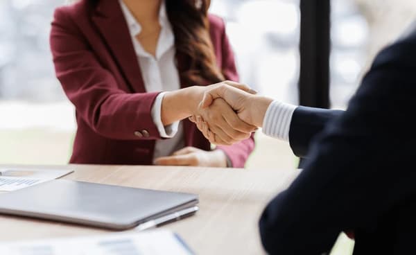 BidX consulting - professional business partnership handshake